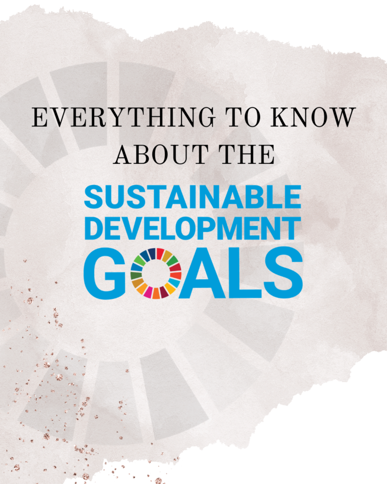 What Are The SDGs & Why Do They Matter?